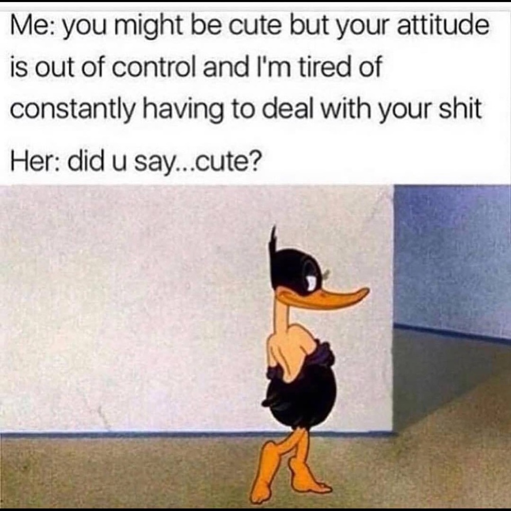 Meet your Posher, Destany